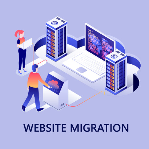 Website Migration Service
