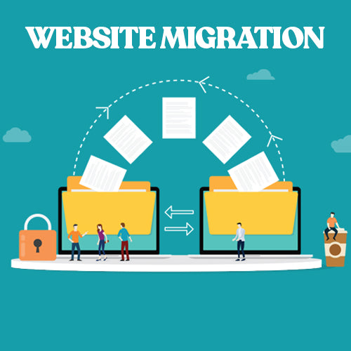 Website Migration Service